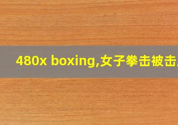 480x boxing,女子拳击被击腹